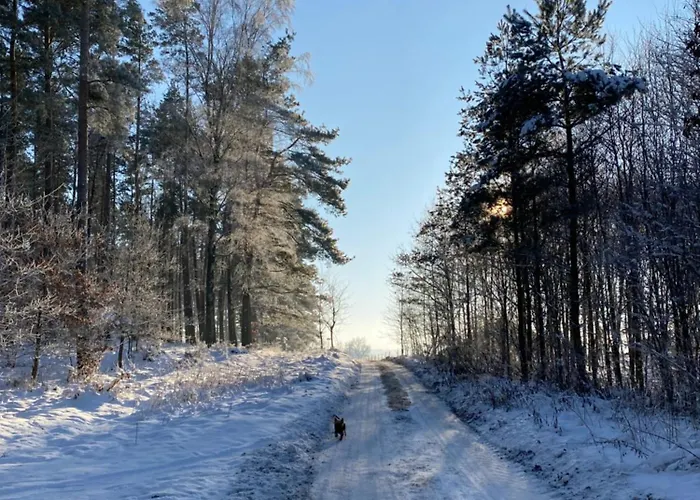 Domek Nad Uroczyskiem